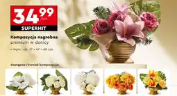 Biedronka Kompozycja nagrobna premium w donicy oferta