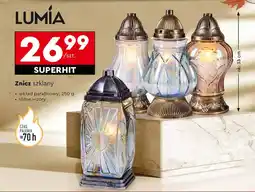 Biedronka Lumia znicz szklany oferta