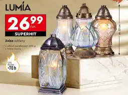 Biedronka Znicz Lumia oferta