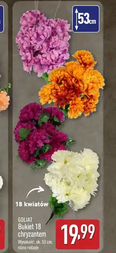 ALDI Bukiet kwiatów Goliat oferta