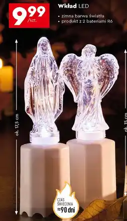 Biedronka Wkład led 90 dni oferta