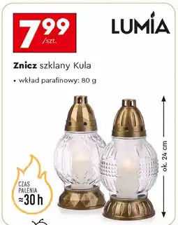 Biedronka Znicz szklany kula 30h Lumia oferta