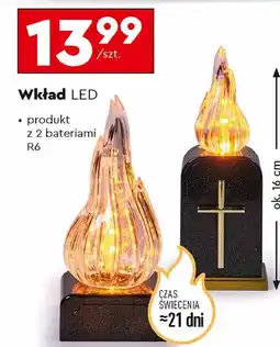 Biedronka Wkład led 16 cm oferta