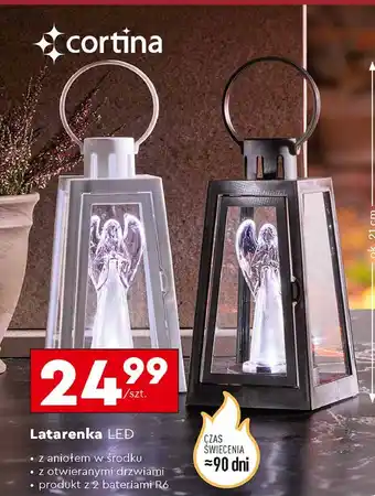 Biedronka Latarenka led Cortina oferta