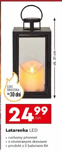 Biedronka Latarenka led 21 cm Cortina oferta