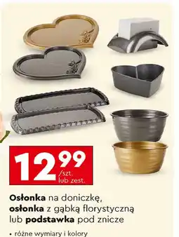 Biedronka Osłonka z gąbką florystyczną oferta