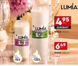 Biedronka Wkład olejowy do zniczy 340 g 120 h Lumia oferta