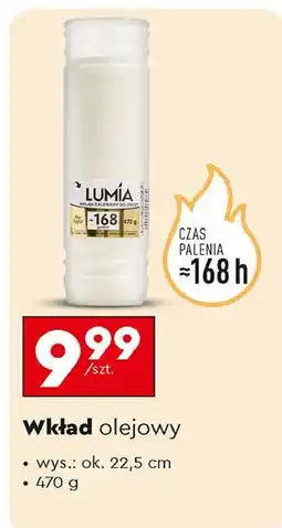 Biedronka Wkład olejowy 168 h Lumia oferta