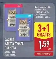 ALDI Karma dla kota ryba Cachet oferta