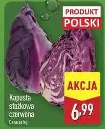 ALDI Kapusta stożkowa czerowna polska oferta