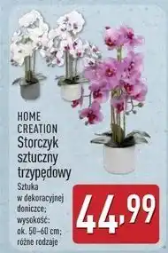 ALDI Storczyk trzypędowy sztuczny Home Creation oferta