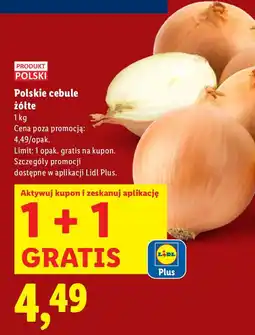 Lidl Cebula żółta polska Lidl oferta