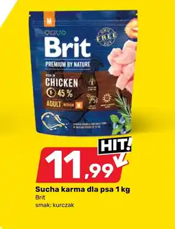 Bricomarche Karma dla psa Brit Premium oferta