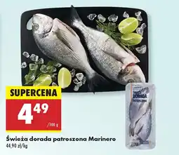 Biedronka Dorada Marinero oferta