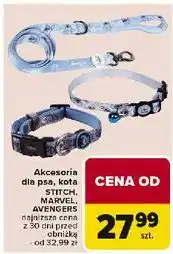 Carrefour Smycz dla psa stitch oferta