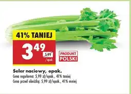 Biedronka Seler naciowy opak oferta