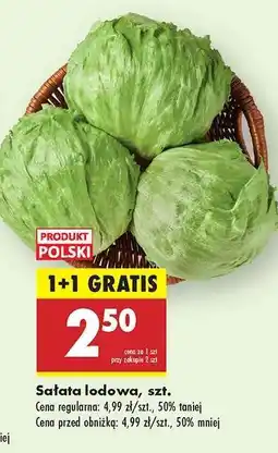 Biedronka Sałata lodowa szt oferta