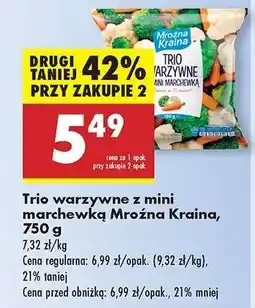 Biedronka Trio warzywne z mini marchewką Mroźna Kraina 750 g oferta