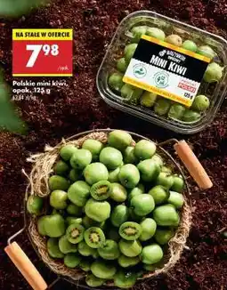 Biedronka Polskie mini kiwi opak . 125 g oferta