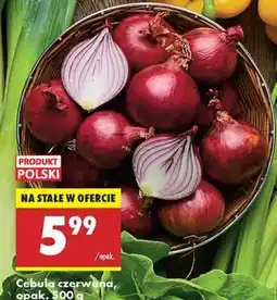Biedronka Cebula czerwona opak . 500 g oferta