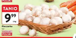 Intermarche Pieczarka luz Intermarche oferta