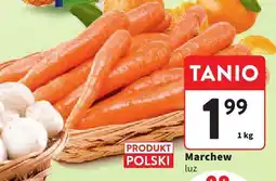 Intermarche Marchew luz Intermarche oferta