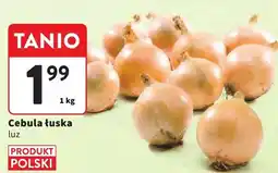 Intermarche Cebula łuska luz Intermarche oferta
