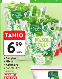 Intermarche Zioła polskie bazylia/mięta/kolendra doniczka Z Sadów i Pól oferta