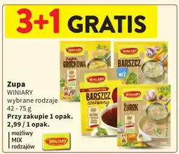Intermarche Zupa WINIARY 42-75g oferta