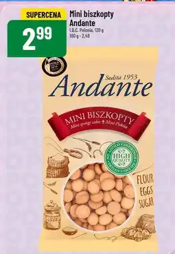 Polomarket Mini biszkopty Andante 120g oferta