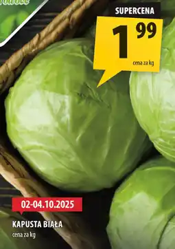 Arhelan Kapusta biała Arhelan oferta