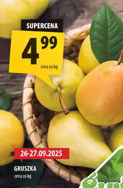 Arhelan Gruszka Arhelan oferta