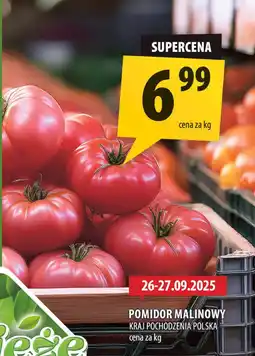 Arhelan Pomidor malinowy Arhelan oferta
