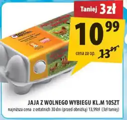 Arhelan Jajka z wolnego wybiegu kl.M 10szt Arhelan oferta