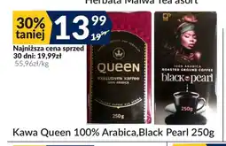 Sużyw Kawa Queen oferta