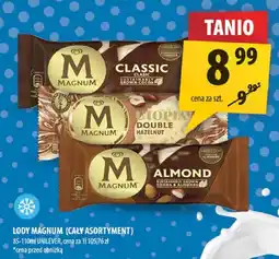Arhelan Lody Magnum (cały asortyment) oferta