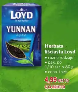 Makro Herbata liściasta Loyd oferta