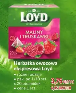 Makro Herbatka owocowa ekspresowa Loyd oferta
