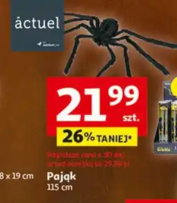 Auchan Pająk 115 cm Actuel oferta