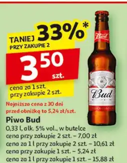 Auchan Piwo Bud oferta