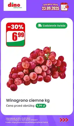 Dino Winogrono ciemne Dino oferta