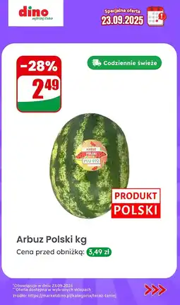 Dino Arbuz polski Dino oferta