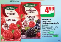 Dino Herbatka owocowa Herbaciany Ogród 20 torebek oferta