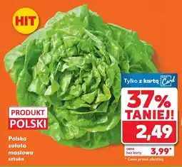 Kaufland Sałata masłowa sztuka Kaufland oferta