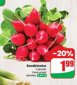 Dino Rzodkiewka 1 pęczek Dino oferta