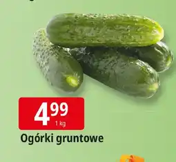 E.Leclerc Ogórki gruntowe Leclerc oferta