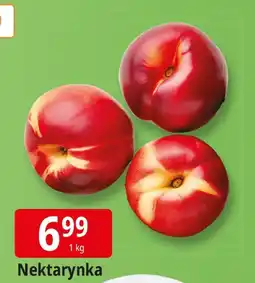 E.Leclerc Nektarynka Leclerc oferta