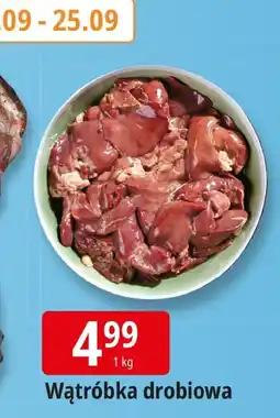 E.Leclerc Wątróbka drobiowa Leclerc oferta