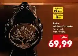Kaufland Znicz drzewko oferta