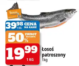 E.Leclerc Łosoś patroszony oferta